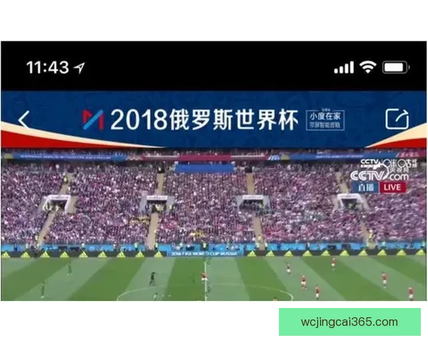 世界杯竞猜赛事直播中心全程解析热门对决实时数据互动平台精彩秀